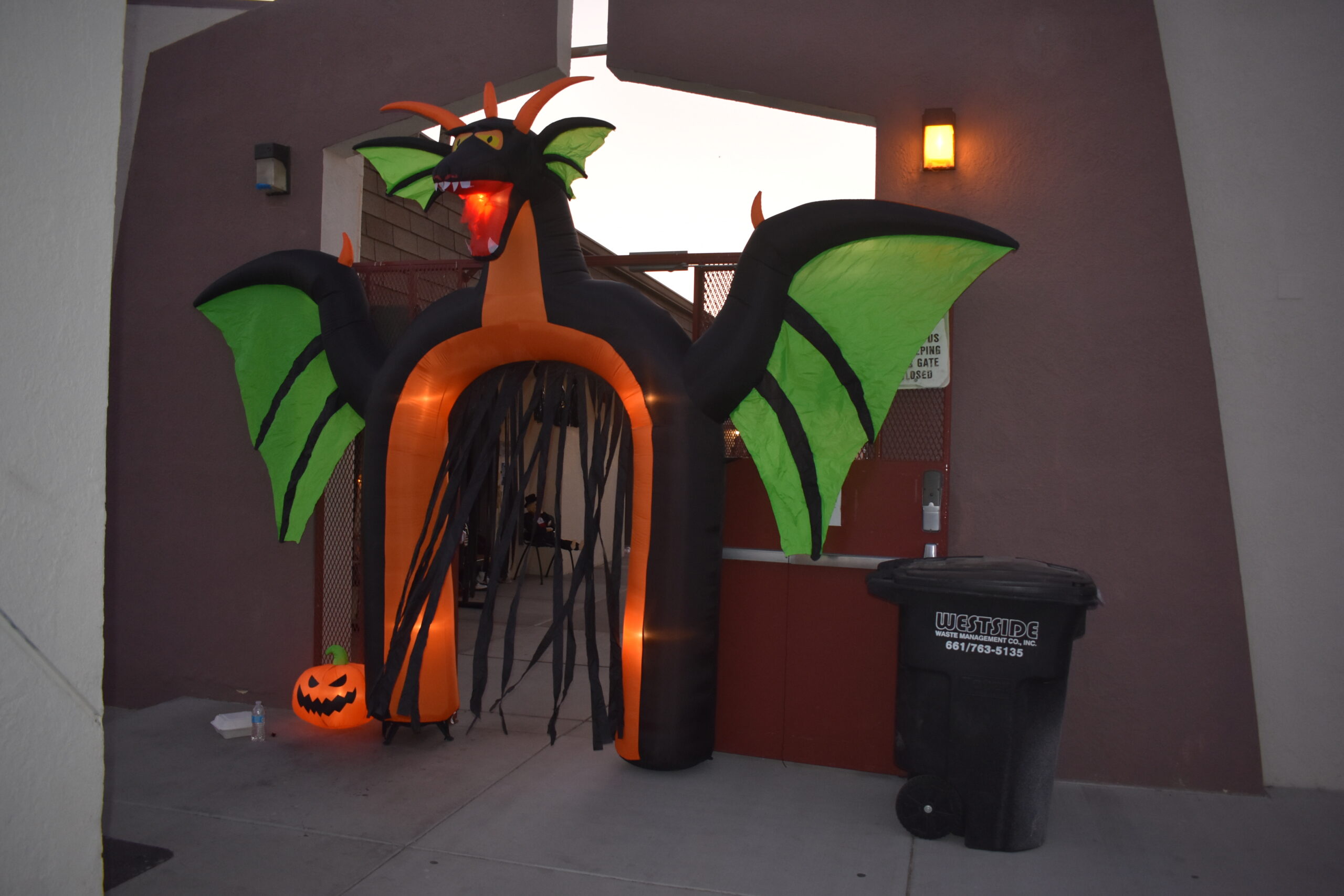 Dragon halloween door dress