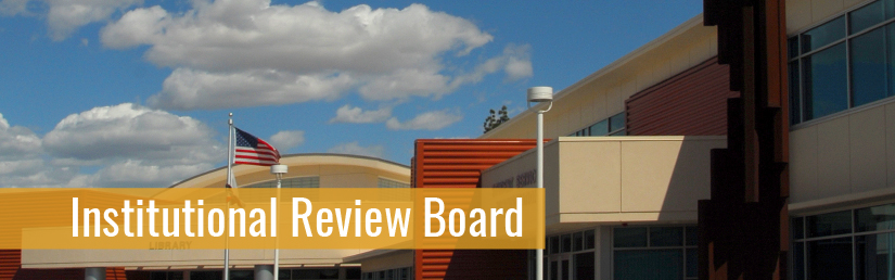 Institutional Review Board