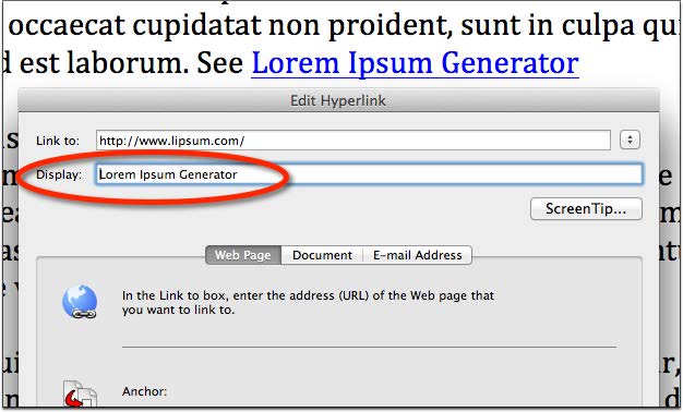 Screenshot of the Edit Hyperlink window tool in MS Word with the text Lorem Ipsum Generator in the Display Field.