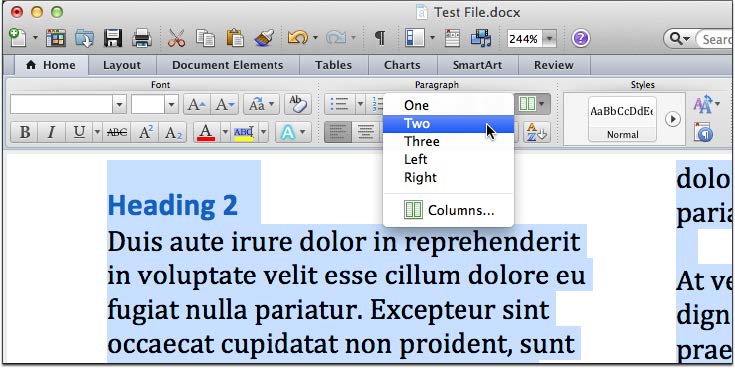 columns_ms_word_2010_and_mac_2011 Screenshot of the Column tool in MS Word for Mac.